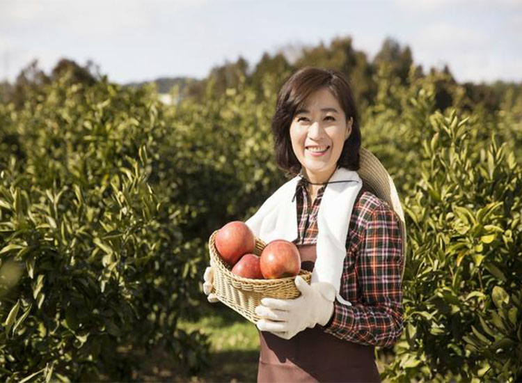 【潤(rùn)康】磨煤機(jī)磨輥與您分享：互聯(lián)網(wǎng)巨頭紛紛賣(mài)菜，農(nóng)民會(huì)不會(huì)被“割韭菜”？